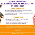 ¿Cómo evitar el estrés en las mascotas durante la cuarentena?