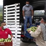 Redes, tecnología y solidaridad: receta de los campesinos para abastecer Medellín