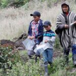 Campesinos colombianos enseñan en YouTube a cultivar en casa por la pandemia