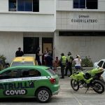Gatos-gomnasio-barranquilla