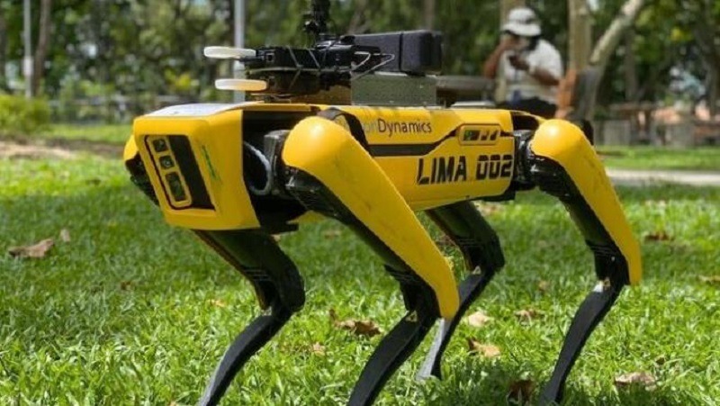 Un perro-robot mantiene en Singapur la distancia social en los parques