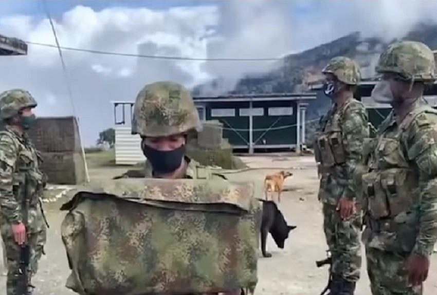 Soldado que mató a perrita tirándola al aire tuvo que enterrarla