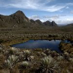 Colombia - Páramo_de_Sumapaz