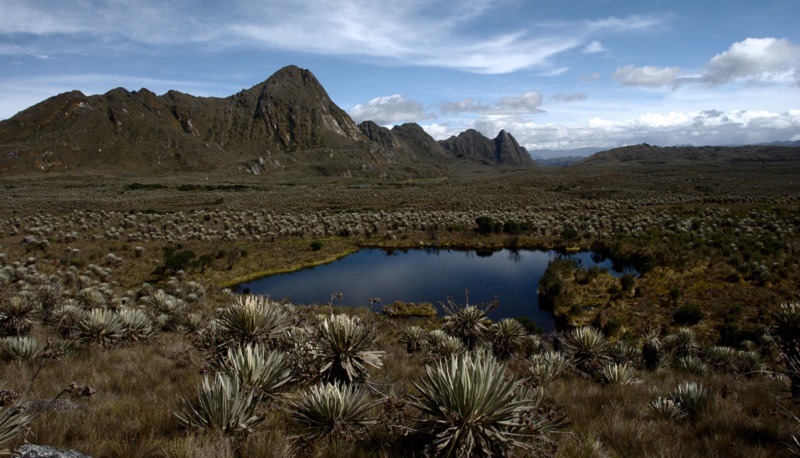 Colombia - Páramo_de_Sumapaz