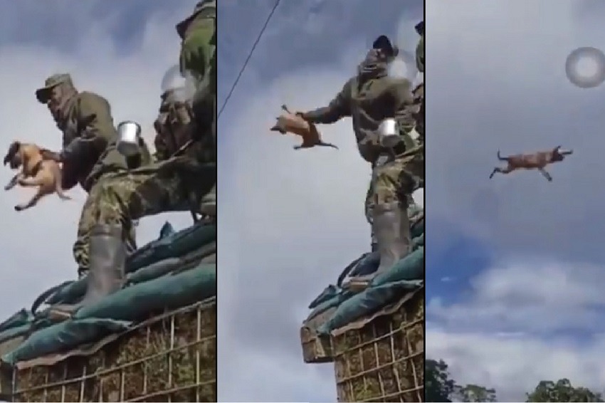 Vídeo: Soldado colombiano lanzó a un perro por los aires como si fuera un objeto