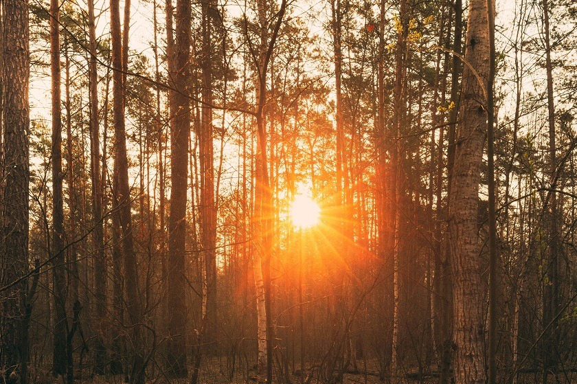 Solsticio de verano: este sábado es el día más largo del 2020