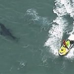Australia-Surfista Muere en Austarlia