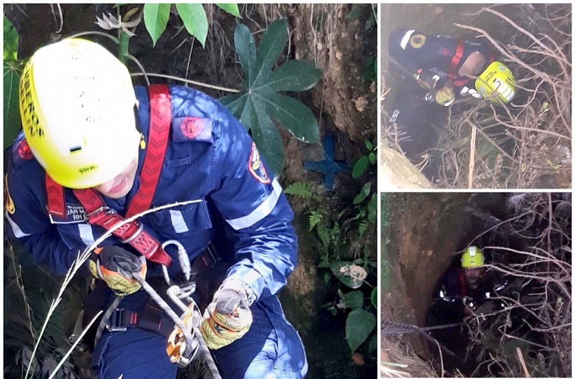 Así salvaron los Bomberos de Medellín a un perrito que cayó a un hueco