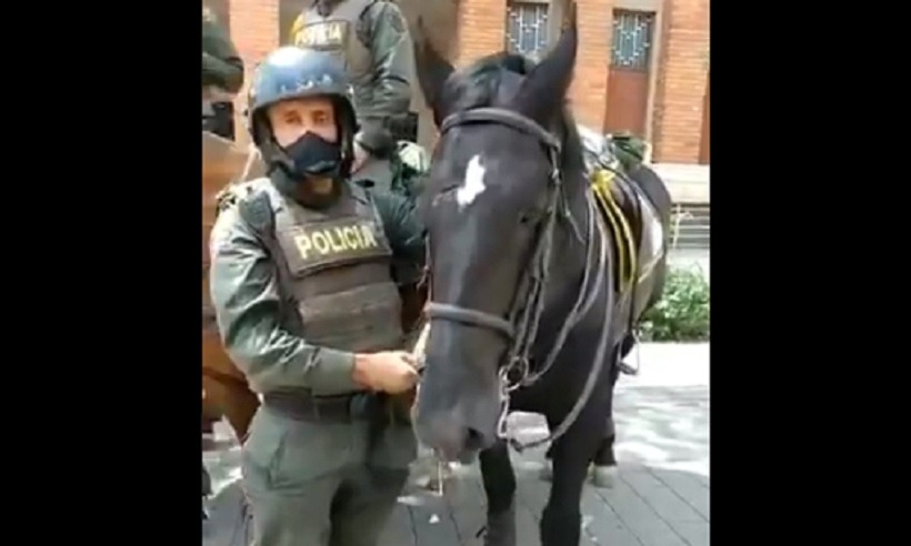 Lamentable, durante marchas en Medellín le hicieron daño a un caballo