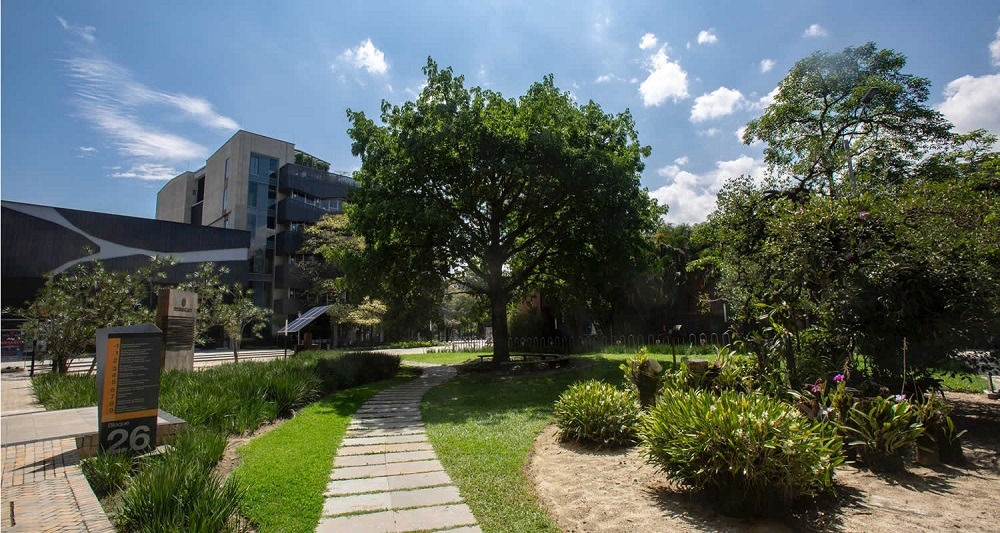 Udea y EAFIT: ¿por qué son tendencia estas dos universidades?