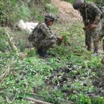 Emboscaron al Ejército y mataron a 8 soldados en operativo contra “Álvaro Boyaco”--Sangriento combate entre Ejército y disidencias de las Farc deja cuatro soldados muertos