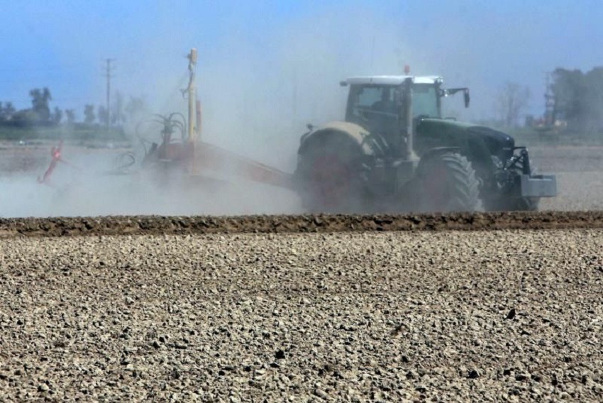 Alertan de que la salinización del suelo amenaza la agricultura de todo el planeta