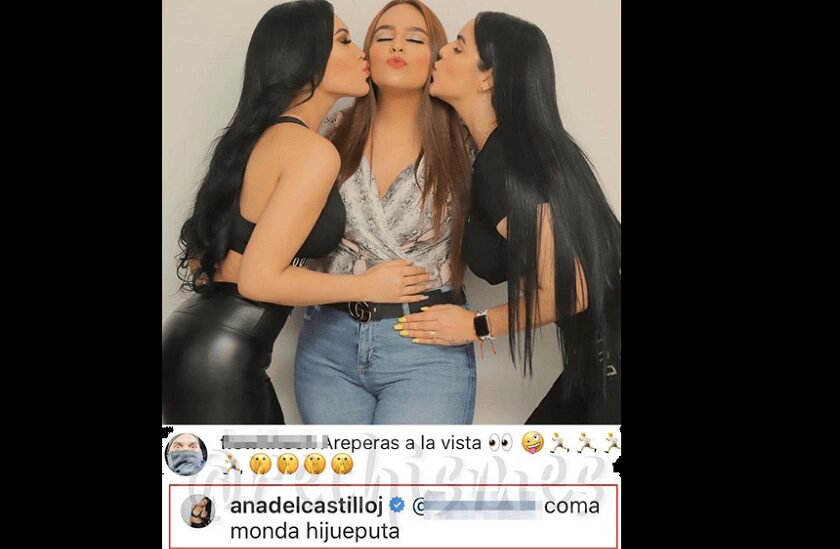 Ana del Castillo le responde con 'palabrota' a usuaria que la trató de lesbiana