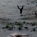 Vecinos del barrio la Esmeralda en Barbosa vieron en el panorama un cadáver