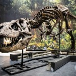 dinosaurios