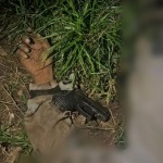 Mataron a alias el 'Indio' del Clan del Golfo justo cuando le iba a disparar a unos policías en Cáceres, Antioquia.