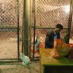 China tomó una decisión con sus mercados y las aves que se venden en ellos