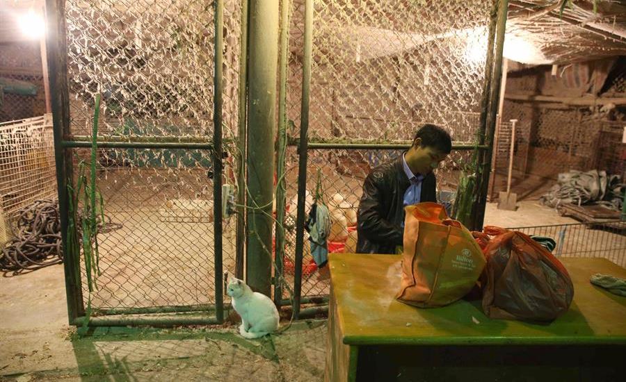 China tomó una decisión con sus mercados y las aves que se venden en ellos