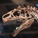 dinosaurios