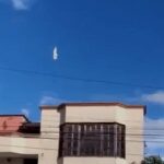 Una paloma estática en el aire fue grabada en Colombia: ¿falló la Matrix?