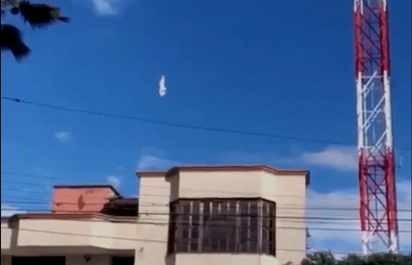 Una paloma estática en el aire fue grabada en Colombia: ¿falló la Matrix?