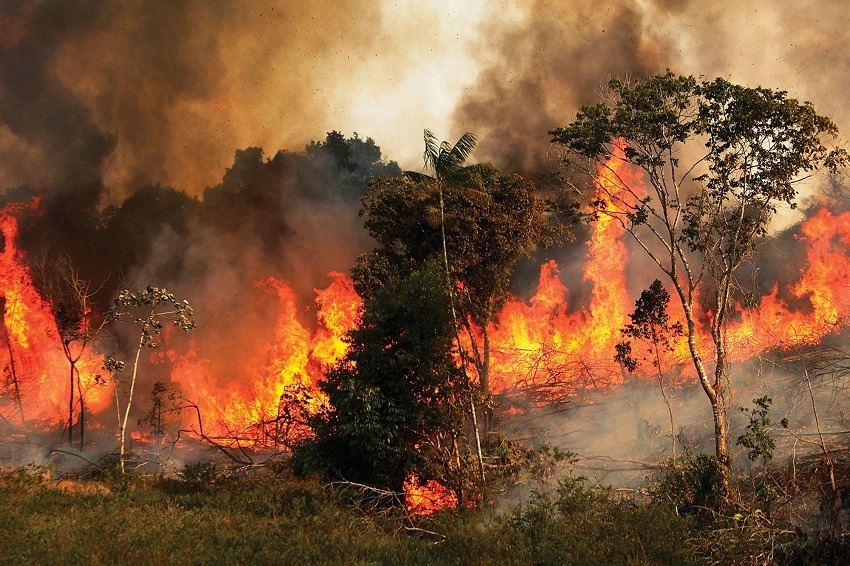 Amazonia brasileña