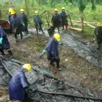 Amazonía peruana