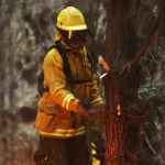 Incendio forestal Peru