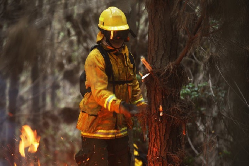 Incendio forestal Peru