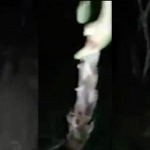 La llorona
