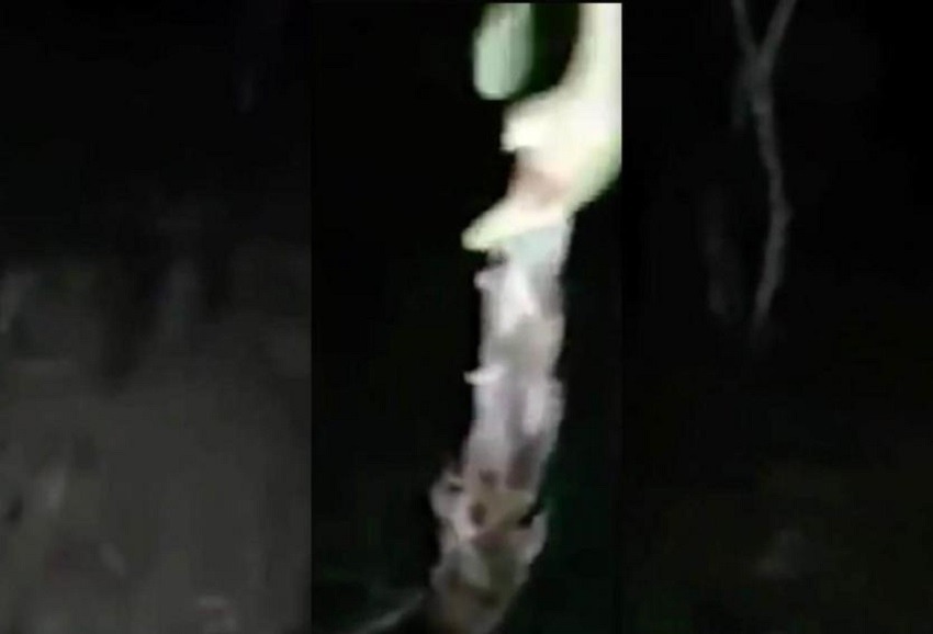 La llorona