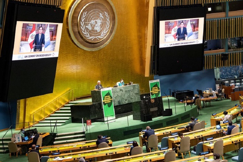 Asamblea General de la ONU