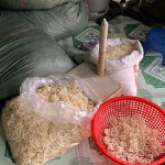 preservativos