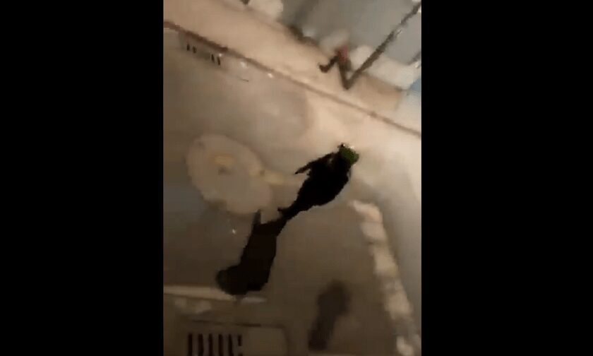 Tiroteo en barrio Manuela Beltrán de Cali