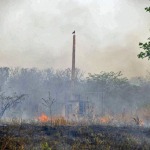 Gobierno brasileño - Amazonia