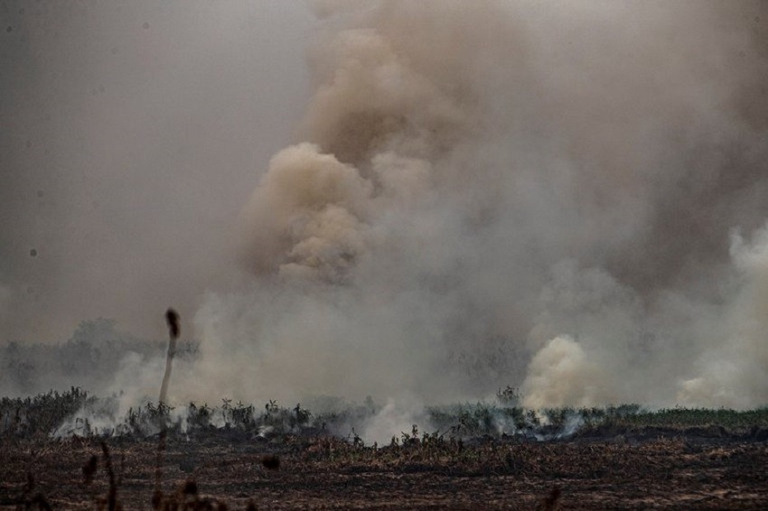 Incendios en Brasil