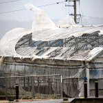 El potente tifón Maysak dejó decenas de víctimas en Corea del Norte