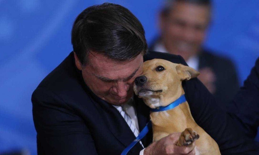 Bolsonaro sanciona ley que endurece penas para el maltrato a perros y gatos