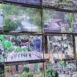 Protestas en Medellín contra la policía
