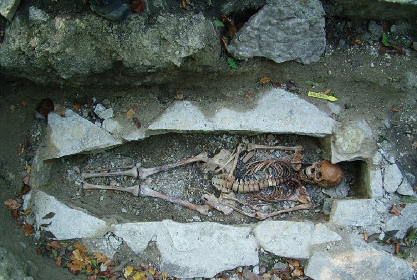 vikingos