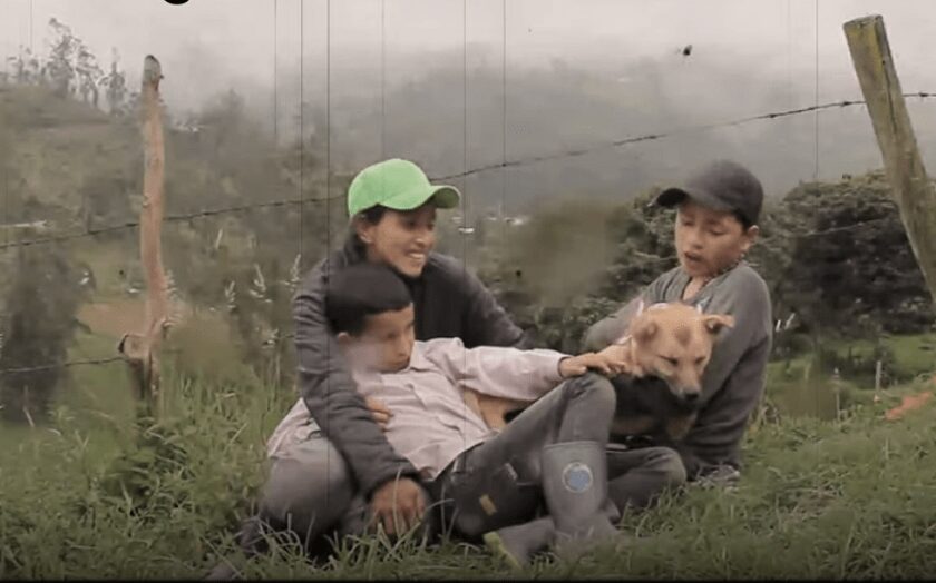 Le envenenaron a ‘Lunita’ a Nubia e Hijos, familia campesina youtuber en Colombia