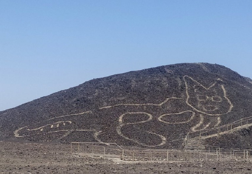 Un gatito de 37 metros, nueva figura descubierta entre los geoglifos de Nazca