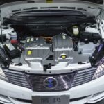 El negocio de los autos eléctricos tendrá el 50 % de la torta en China para 2035