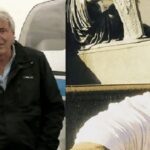David Henderson, el piloto de Emiliano Sala, se declara NO culpable