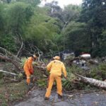 Cierre total de la vía Mojarras - Popayán: YA trabajan para recuperarla