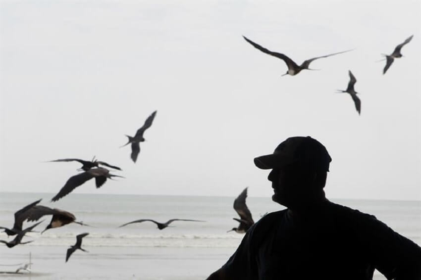 WWF lanza en Ecuador