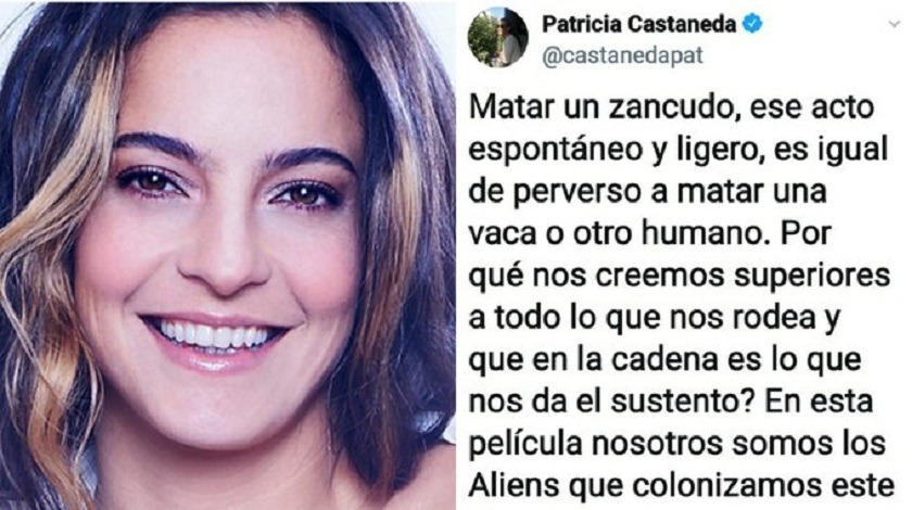 Patricia Castañeda se metió en las tendencias por su disertación sobre la muerte de los zancudos