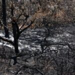 incendios en Australia