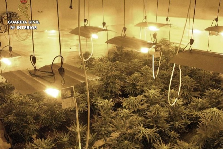 Detenido con casi cien plantas de marihuana en vivienda ocupada ilegalmente