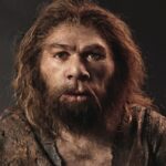 El esqueleto de un niño sugiere que los neandertales enterraban a sus muertos